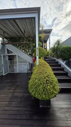 Jalan Tanjong (D16), Terrace #578657651